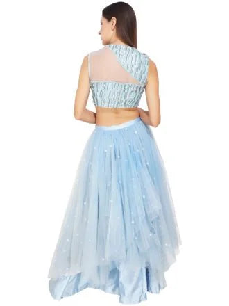 Powder Blue Sequin Cutout Net Lehenga